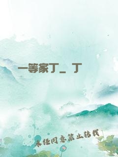 一等家丁
