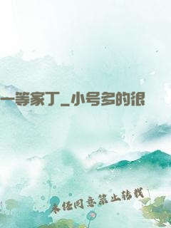 一等家丁