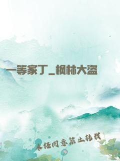 一等家丁