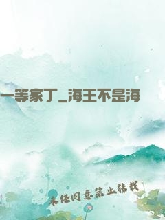 一等家丁