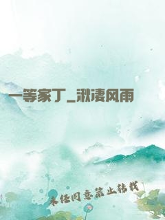 一等家丁
