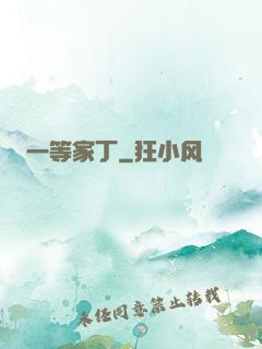 一等家丁