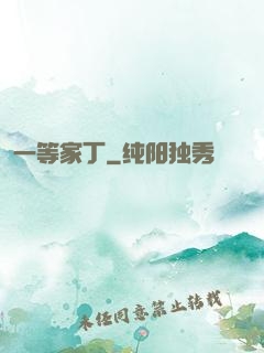 一等家丁