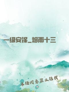 一级安保