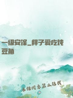 一级安保