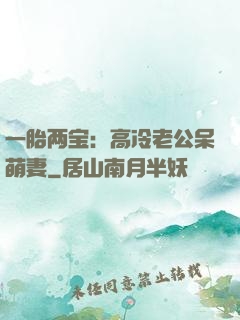 一胎两宝：高冷老公呆萌妻