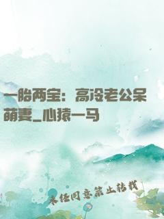 一胎两宝：高冷老公呆萌妻