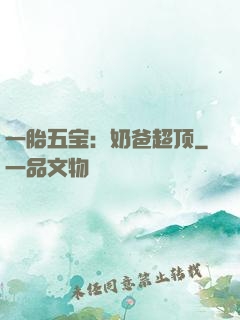 一胎五宝：奶爸超顶