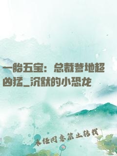 一胎五宝：总裁爹地超凶猛