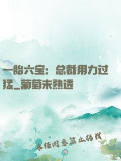 一胎六宝：总裁用力过猛