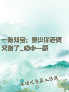 一胎双宝：景少你老婆又跑了