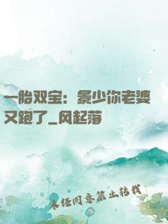 一胎双宝：景少你老婆又跑了