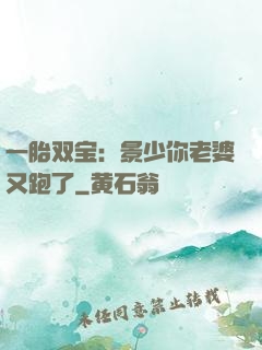 一胎双宝：景少你老婆又跑了