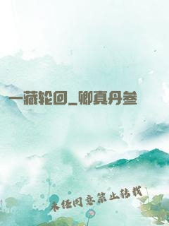 一藏轮回