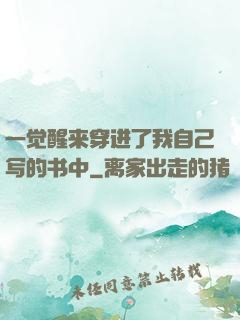 一觉醒来穿进了我自己写的书中