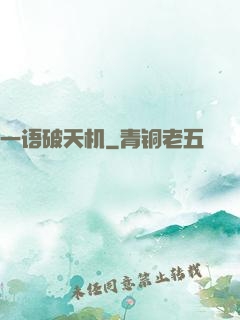 一语破天机