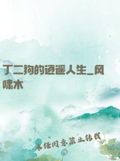 丁二狗的逍遥人生