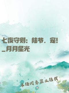 七夜守则：陆爷，宠！