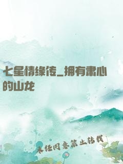 七星情缘传