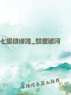 七星情缘传