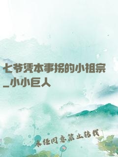 七爷凭本事拐的小祖宗