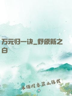 万元归一诀