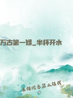 万古第一婿