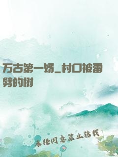 万古第一婿