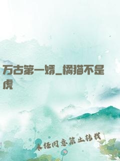 万古第一婿