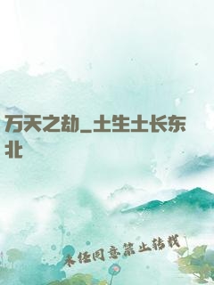 万天之劫