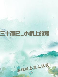 三十而已