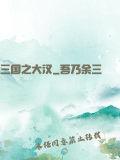 三国之大汉