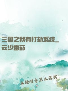 三国之我有打劫系统