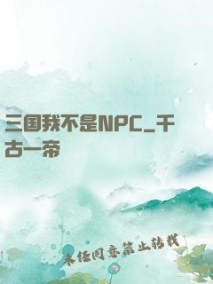 三国我不是NPC