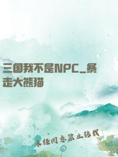 三国我不是NPC