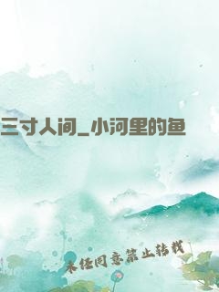 三寸人间
