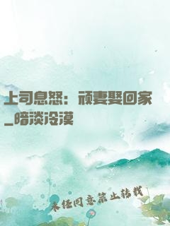 上司息怒：顽妻娶回家