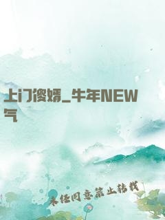 上门傻婿