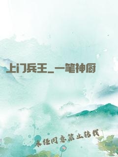 上门兵王