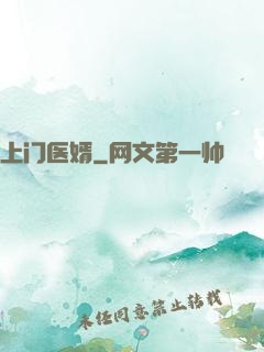 上门医婿