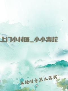 上门小村医