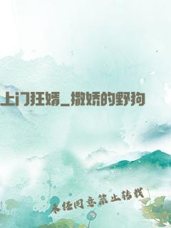 上门狂婿