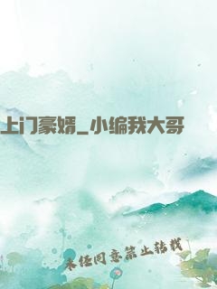 上门豪婿