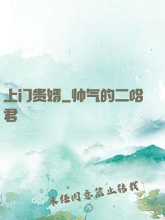 上门贵婿