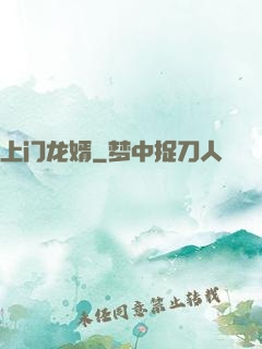 上门龙婿