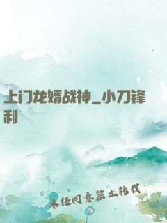 上门龙婿战神