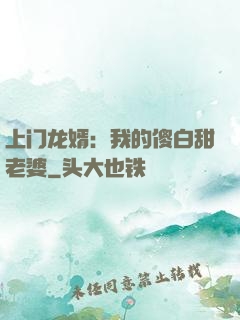 上门龙婿：我的傻白甜老婆