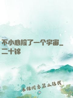 不小心捡了一个宇宙