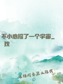 不小心捡了一个宇宙