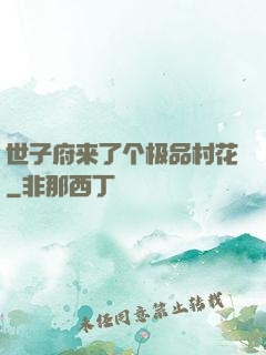 世子府来了个极品村花